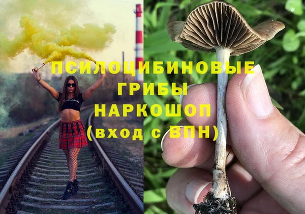 2c-b Дмитров