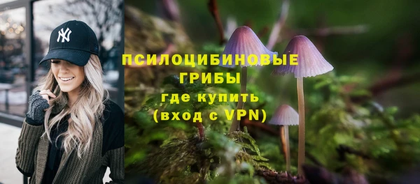 мдма Дмитриев