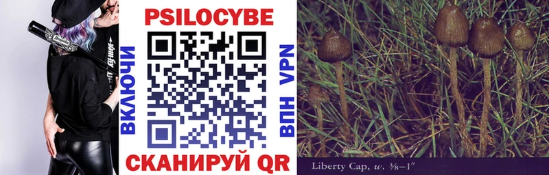 Купить  Кинешма  Псилоцибиновые грибы Magic Shrooms 